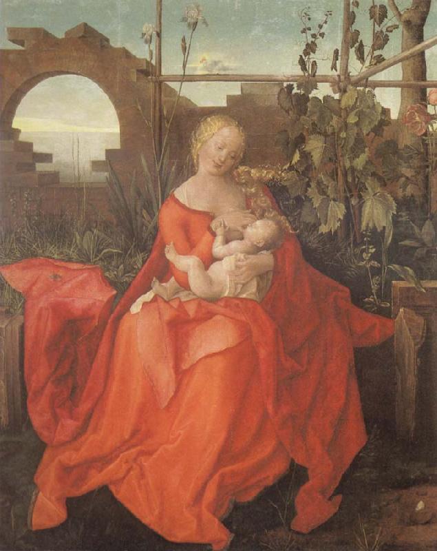 The Madonna with the Iris imitator of Albrecht Durer, Albrecht Durer